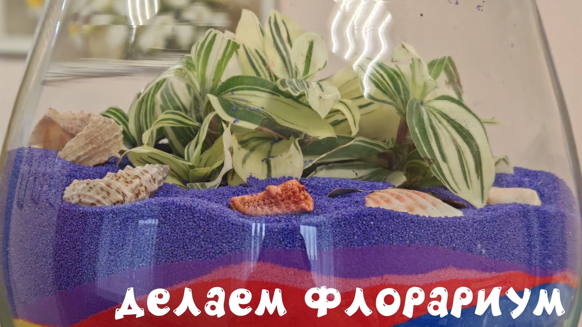 Делаем флорариум. Часть 1