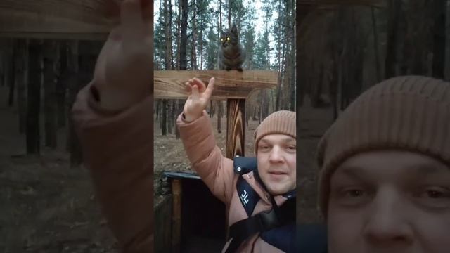Кот СВО🇷🇺