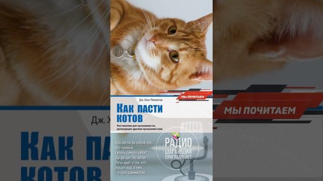 Как пасти котов