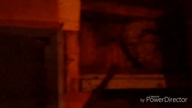 #ОсЫ жИрАюТ лЮдЕй VLOG