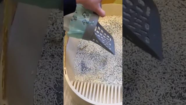 Here's something that will make living with cats easier 😽