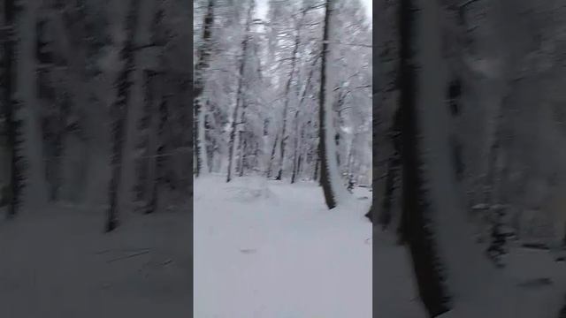 VID-20250110-WA0025