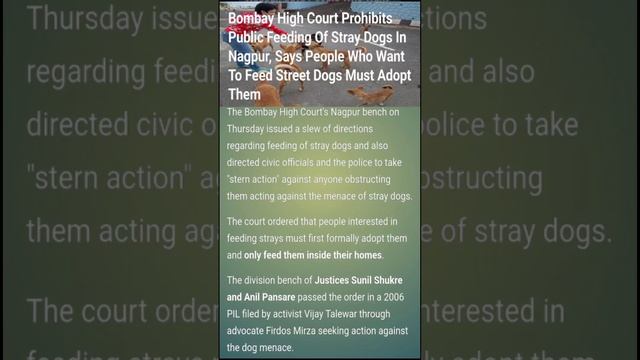 Bombay high court on Stray dog menace in