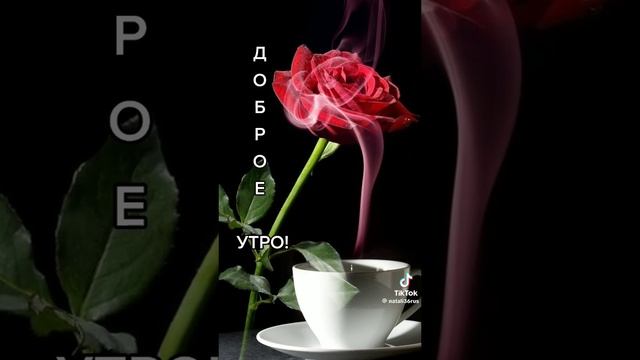 доброе утро