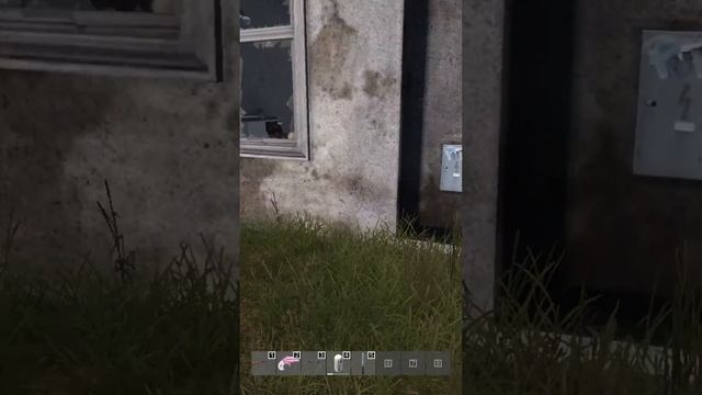 DAYZ HOME VIDEO SLOW MOTION