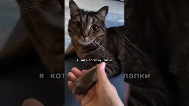 999909965_AQMpH2XZsFQg5gnnzzfuZvPN_E9bN2Qpn7cajbMGsHAmhLFwe_YZ6