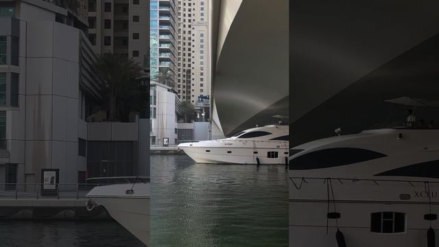 12370391_2160_3840_60fps
