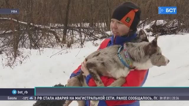 В Уфе прошла тренировка собак по поиску людей