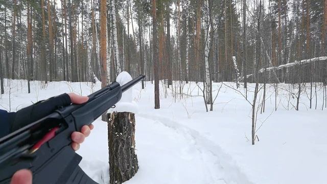 Shotgun Saiga 12 vs Ice