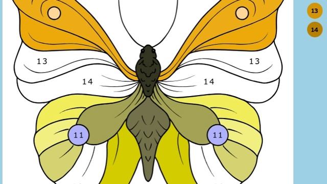 Раскраска бабочка – Математические картинки