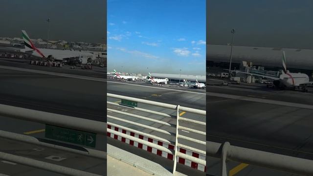 Мувер в аэропорту Дубая (Mover at Dubai airport)