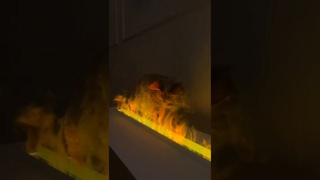 Кошка и камин . Паровые камины на заказ