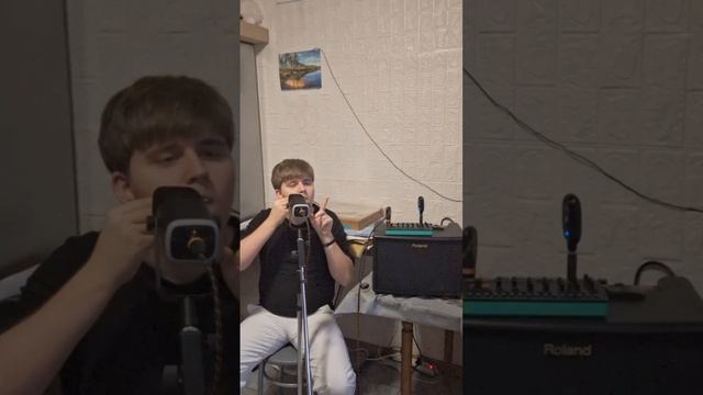 Хорус, Синт, Варган и Ревер...