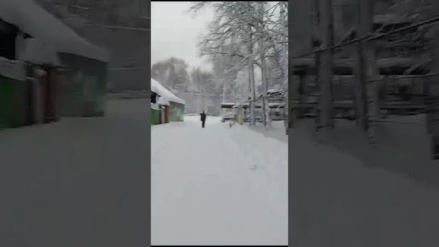 VID-20250110-WA0072