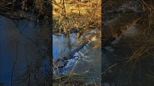 1000067847.mp4