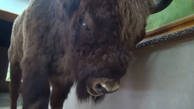Тебердинский заповедник.  Музей природы.  Водопад Мужские слёзы
