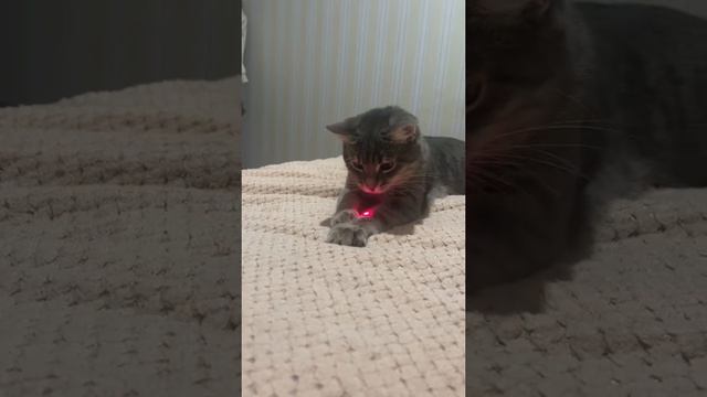 Новая субстанция)))