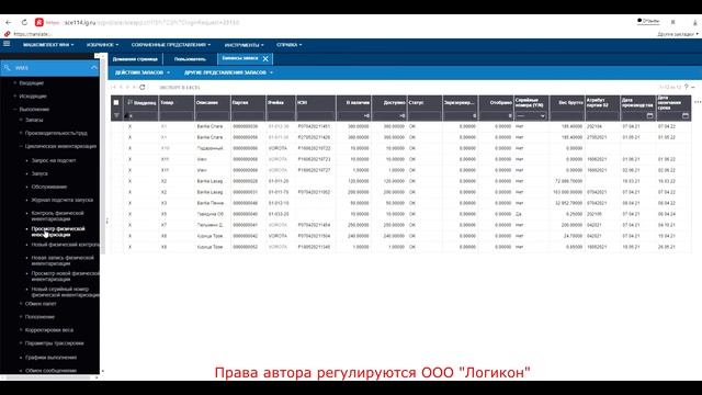 Физическая Инвентаризация / Physical Inventory Infor WMS 11.0.3