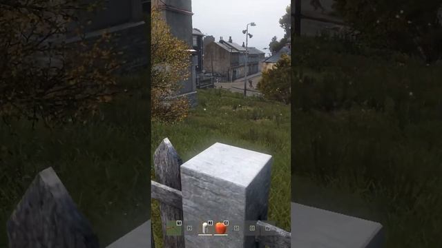 Дал минус два с БК - DayZ #dayz #дейз #shorts