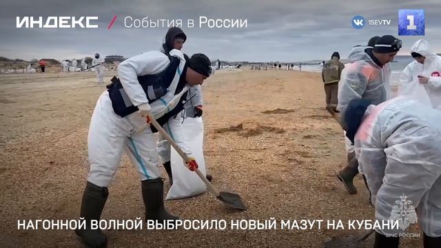 Нагонной волной выбросило новый мазут на Кубани