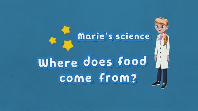 Kid's Box 2 (New Gen.) CLIL video Unit 6 (Where does food come from?)