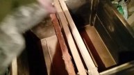 Какую ловушку для ловли роёв пчёл сделать