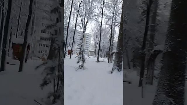 VID-20250110-WA0023