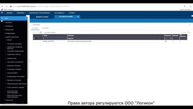 Аудит окна и документов в Инфор WMS 11.0.3 / Audit of windows and documents in Infor WMS 11.0.3