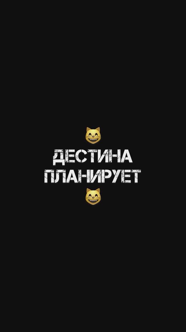 КошКомиксы. Серия 23 «Дестина планирует»