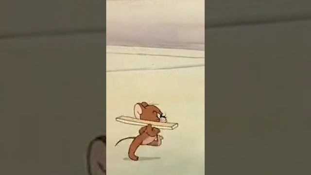 tomtom and jerry funny cartoons 🐁🐭🐈