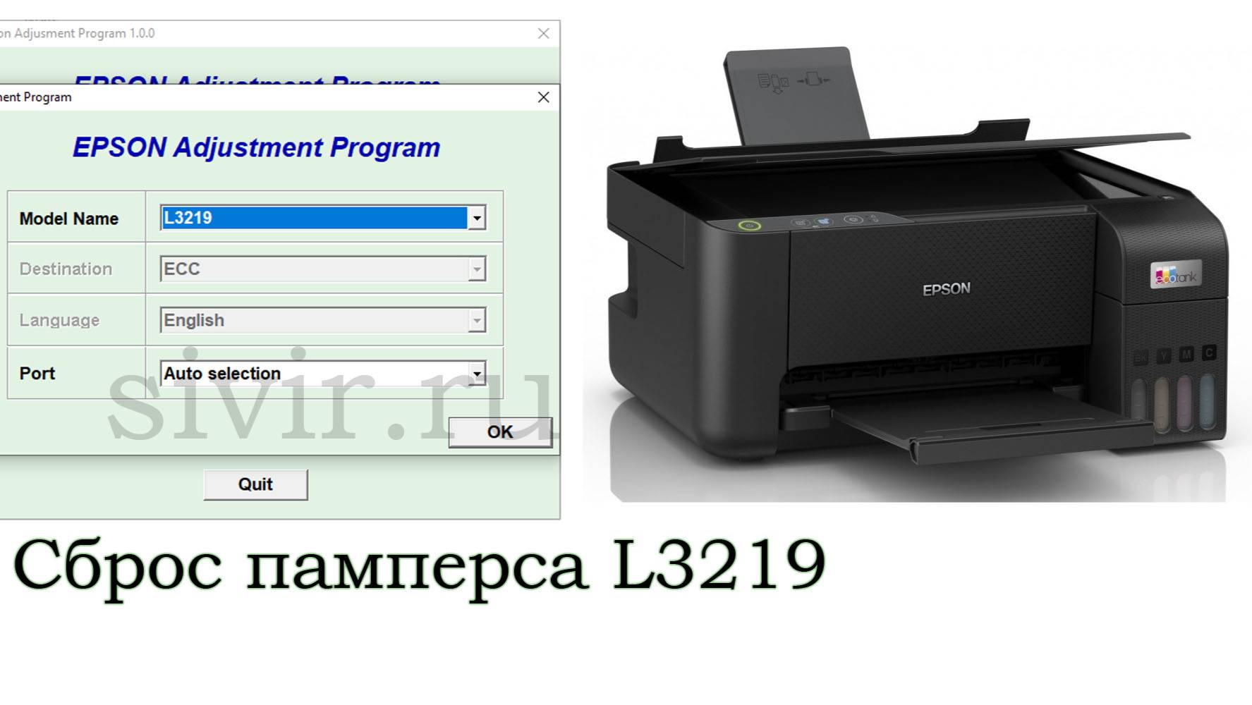 Сброс памперса Epson L3219 Adjustment Program