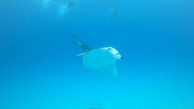 MALDIVES INDIAN OCEAN 4K SUPER