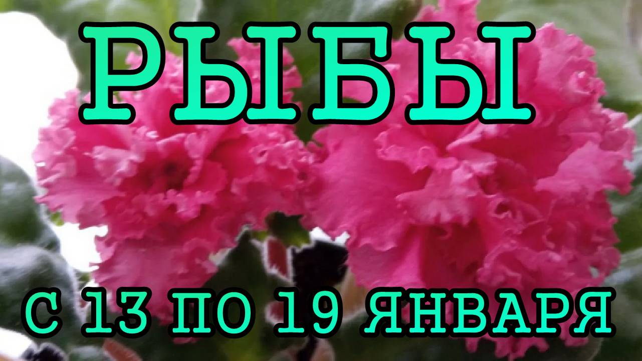 РЫБЫ таро прогноз на неделю с 13 по 19 ЯНВАРЯ 2025 года.