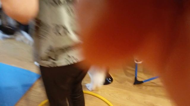 1000008595.mp4