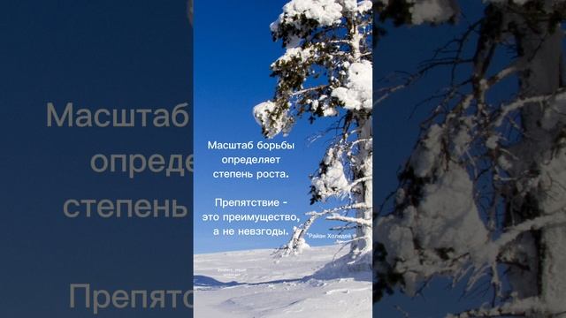 Цитата дня