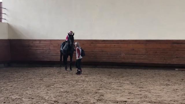 Галоп бренд февраль2019