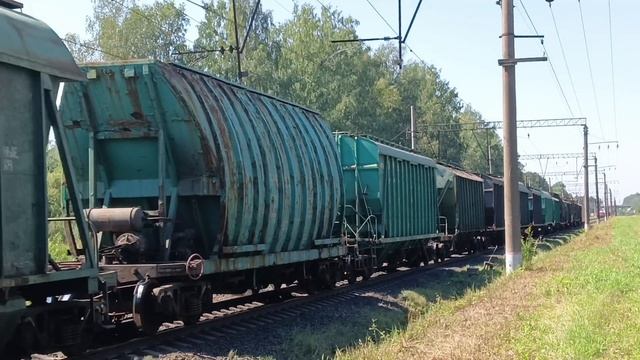 Дождливый день яркой жарка на Северном ходу Октябрьская Железная дорога Перегон Мга - Назия