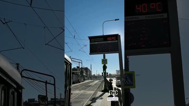 В Краснодаре+17 градусов. А за окном январь...
