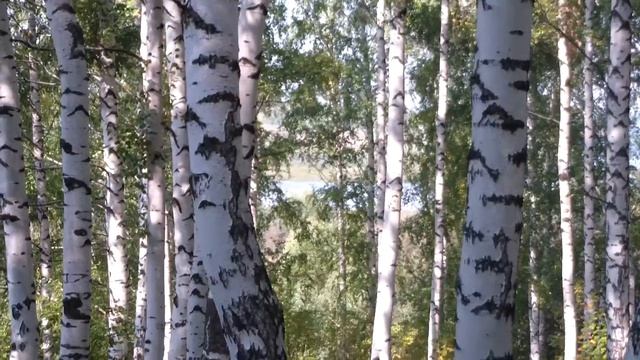 Добро пожаловать в "Новые Ключи"