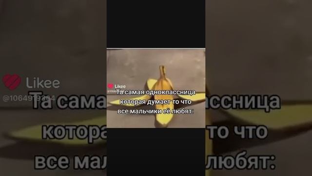крашиха школы