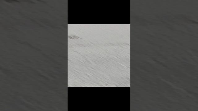 смотрите что происходит в школе 🤯🤯🤯
