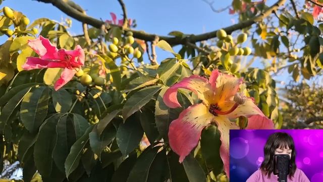 - Там твой муж с беременной любовницей пришёл - медсестра застыла в шоке. Она же 5 лет, как вдова..