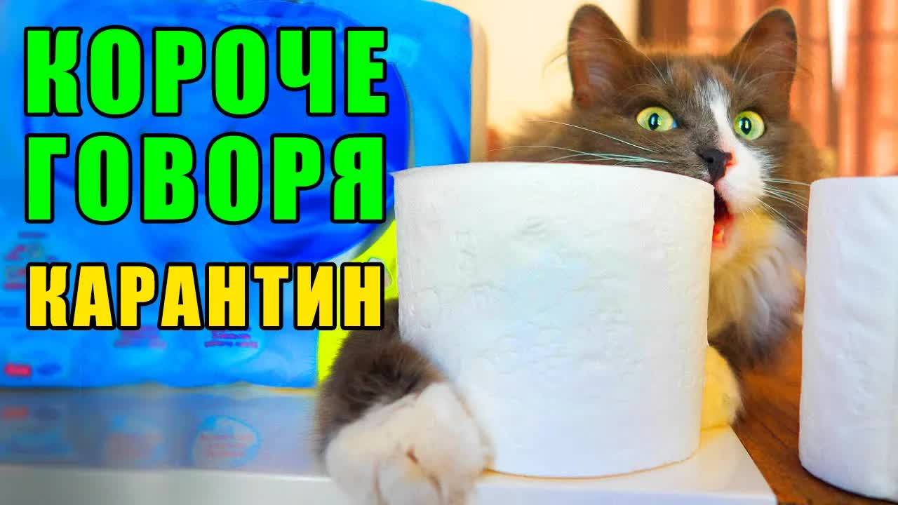 КОРОЧЕ ГОВОРЯ, КАРАНТИН! ГЛАЗАМИ КОШКИ