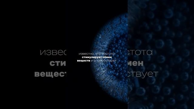 интересное | здоровье