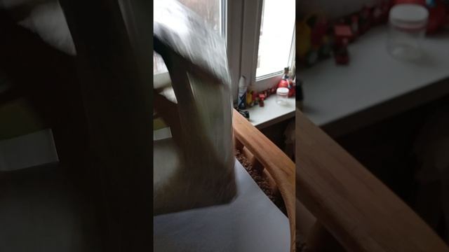 Подготовила новую кормушку для синиц и белочек. Обклеила самоклеющейся плёнкой и скотчем