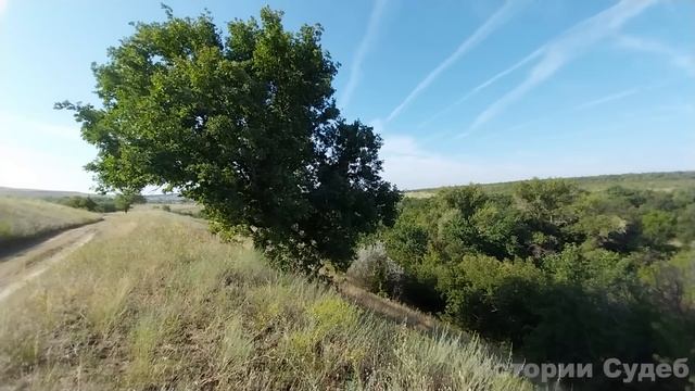 Пусть дети у тебя летом поживут пока мы дом восстановим после пожара. Сказала Ира золовке, но та...