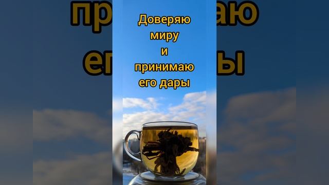 Чашка N15 Полминутки подумать о себе с любовью☀