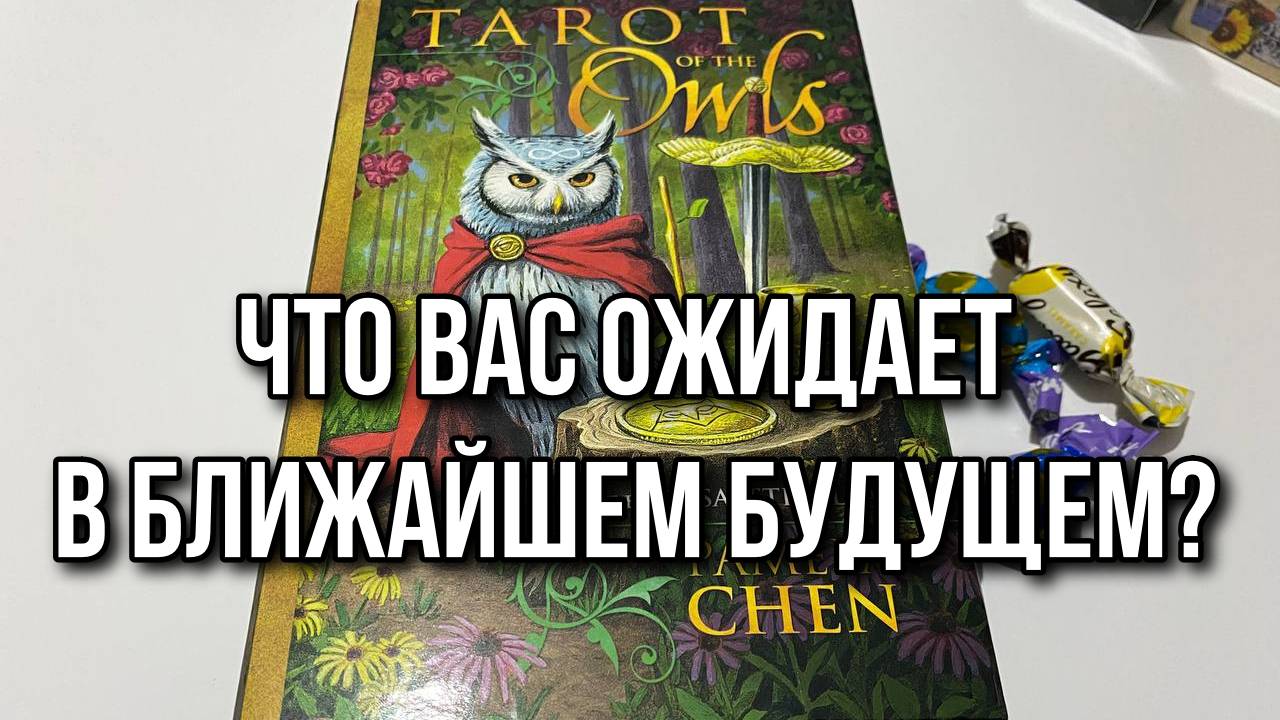 ЧТО ВАС ОЖИДАЕТ В БЛИЖАЙШЕМ БУДУЩЕМ_ Гадание на таро Karina Tarot Reading