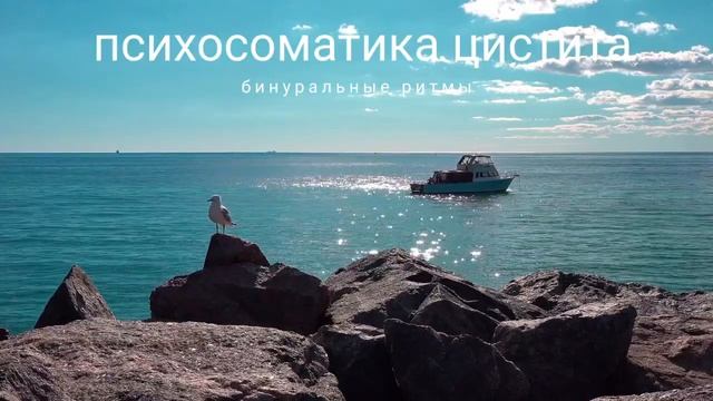 ⚡️Психосоматика цистита. саблиминал. Женский