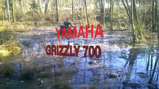 Kawasaki Brute Froce 750
Yamaha Grizzly 700